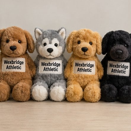 Customized stuffed animals for clubs and universities