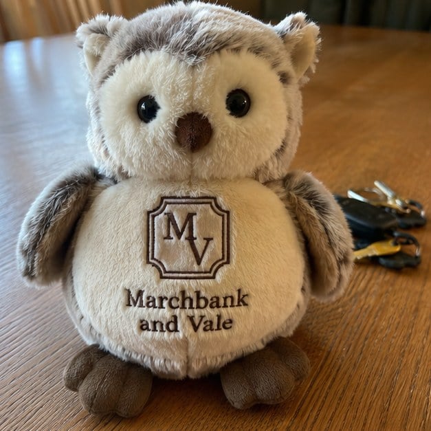 Personalized stuffed animals — customer photo